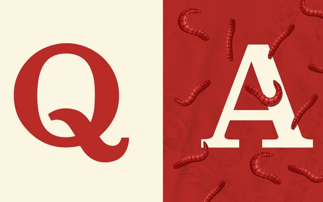 Illustration of a big 'Q' and a big 'A' with worms in the background