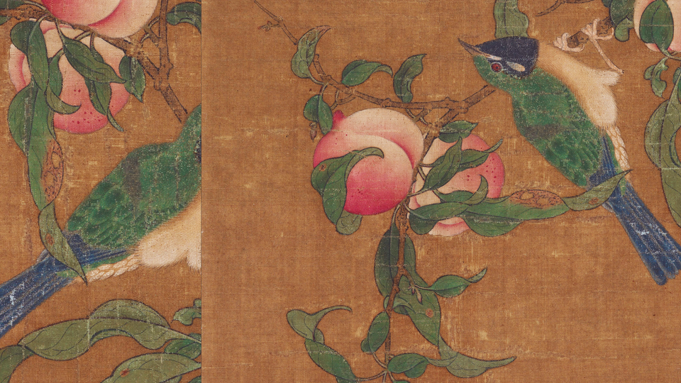 illustration with blue-and-green bird, green leaves, and apricots on a branch