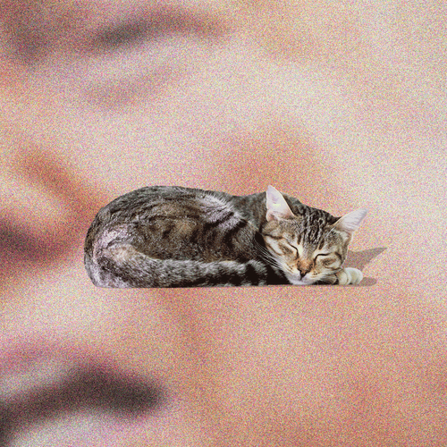 Trump Is Boring Now And He Can T Do Anything About It The Atlantic