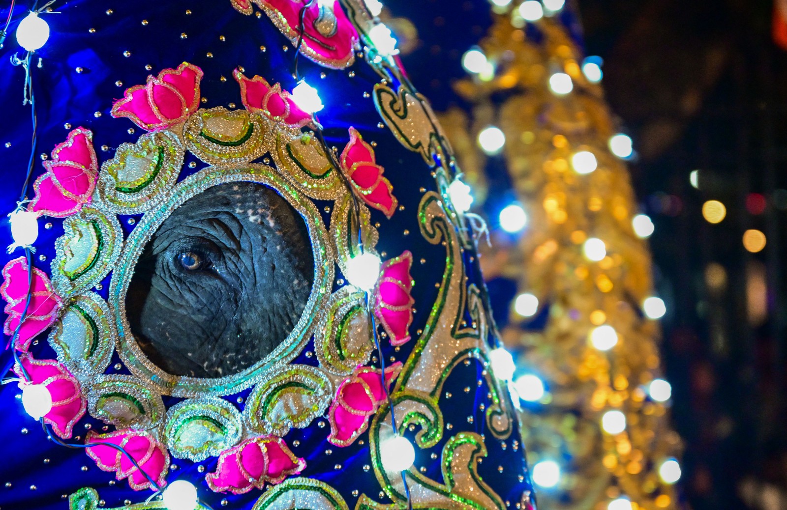 A pair of elephants wearing illuminated and decorated coverings