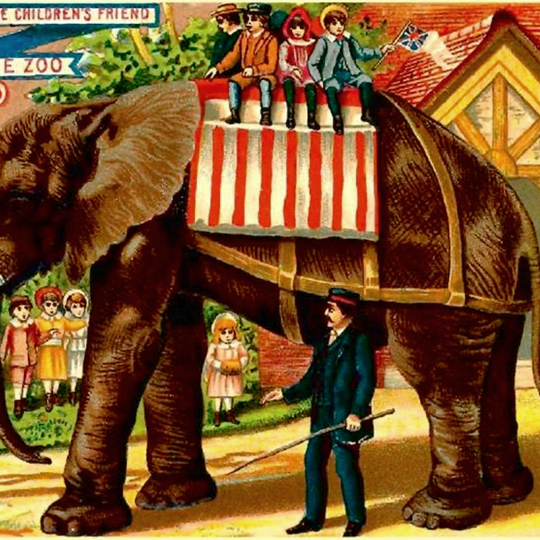 Before Internet Cats, There Were Circus Elephants - The Atlantic