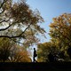A silhouetted man walking in a park