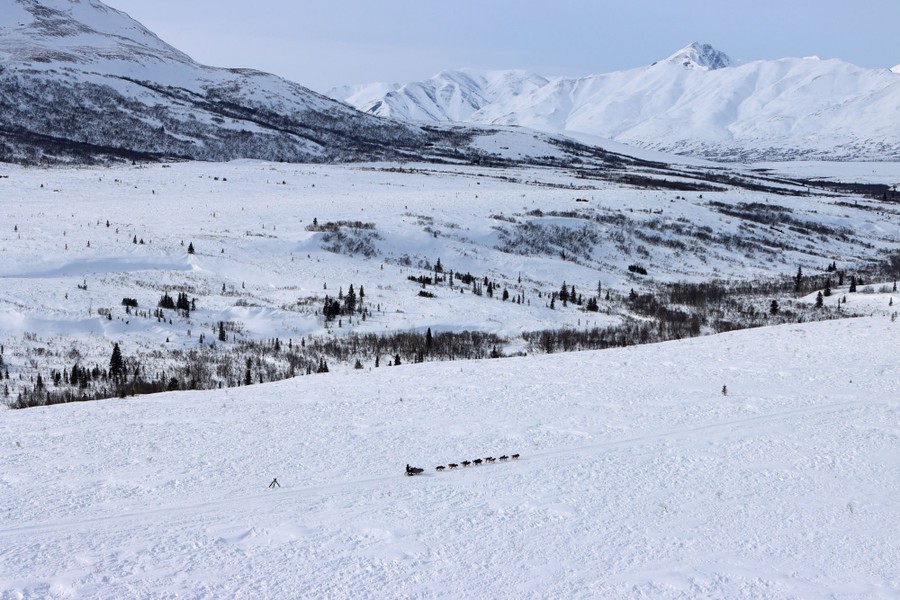 A distant aerial view of a dog team running through a snow-covered valley.
