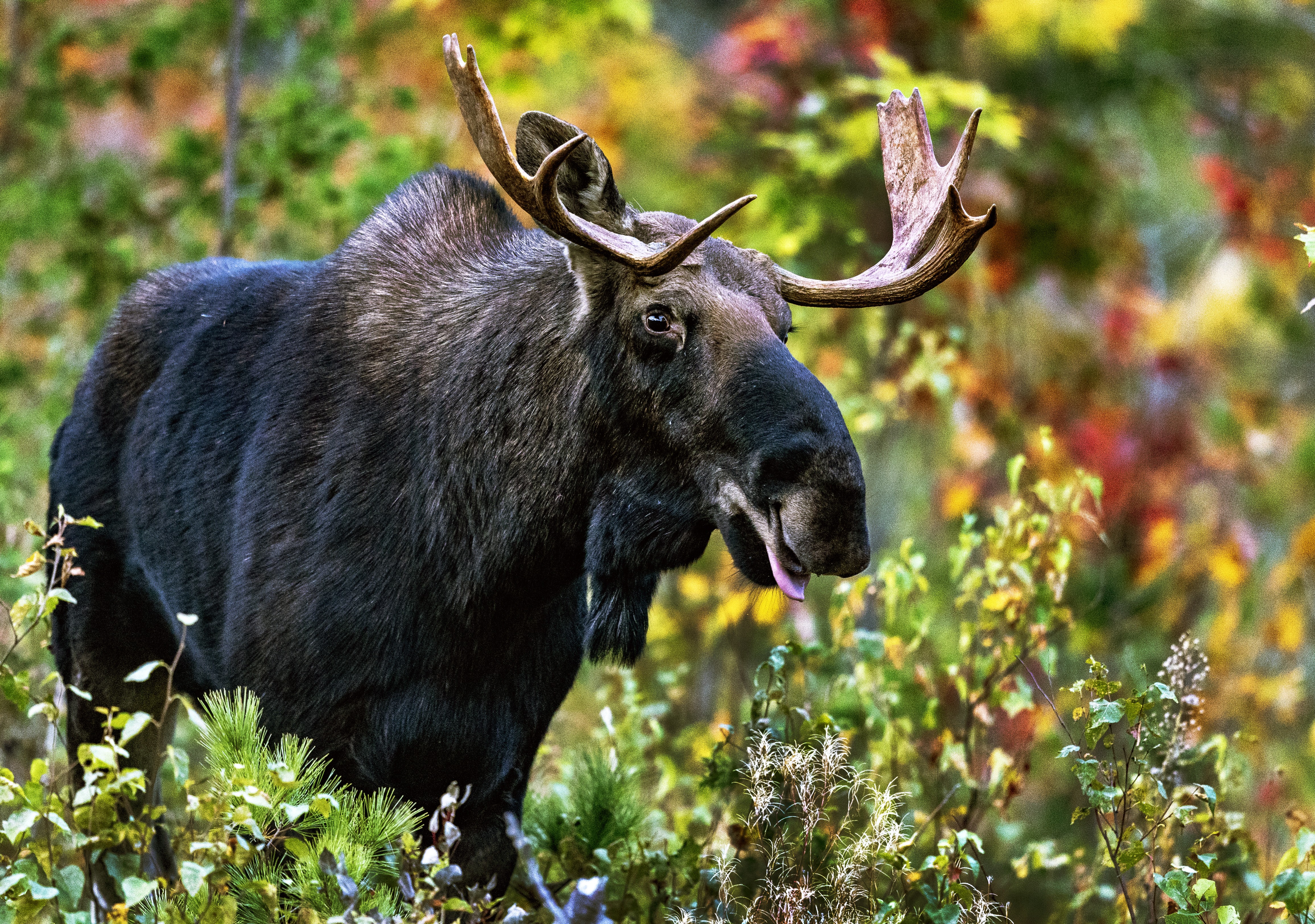 Photos: Fall Is in the Air