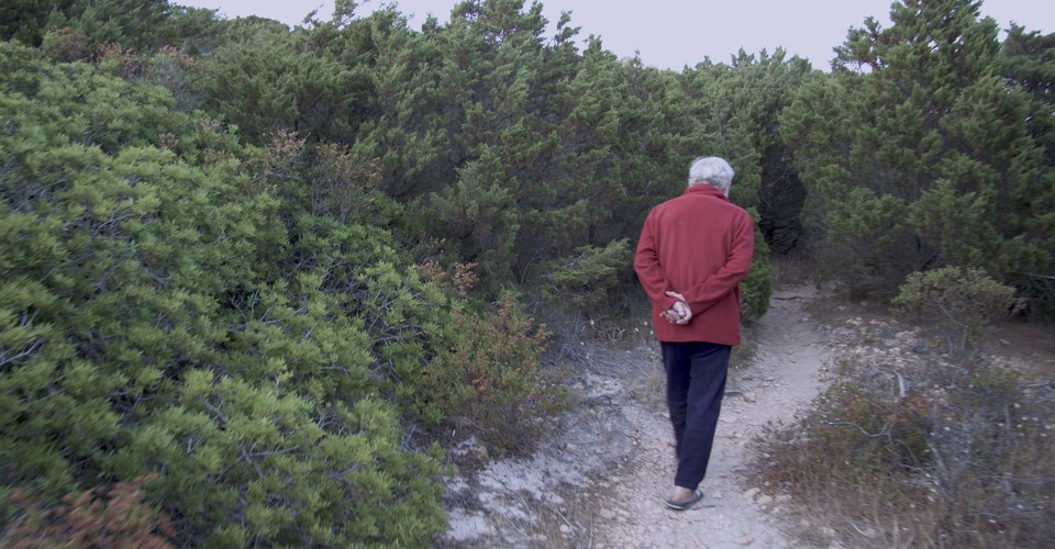 When A Paradise Loses its Caretaker - The Atlantic