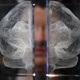 A glass etching of a brain