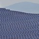 An array of hundreds of solar panels covers a hillside, with a single tree visible in the background.