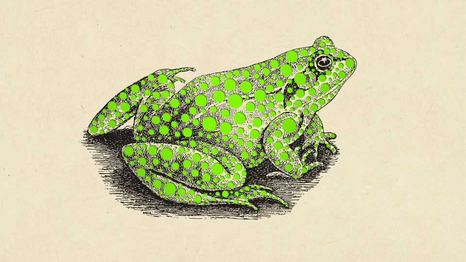 Illustration of a frog with green spots all over it