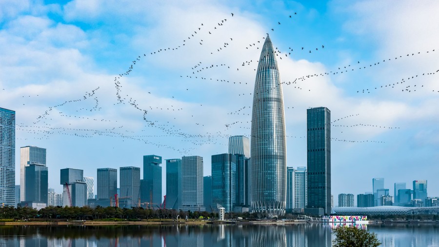 Many lines of migrating birds fly near city skyscrapers.