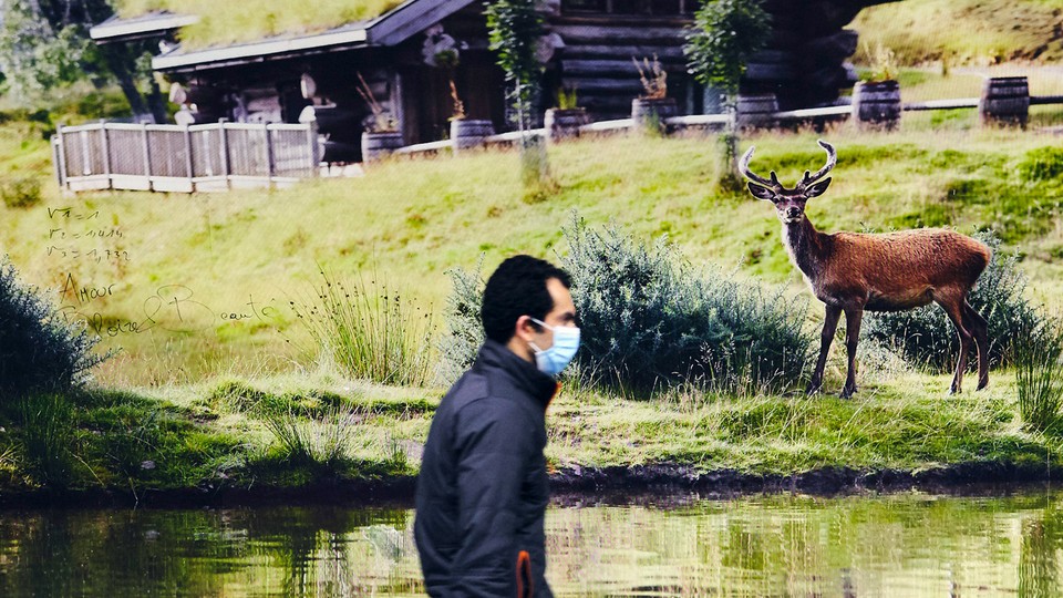 Man walking with mask while deer looks on in the background