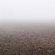 An image of soil stretching into the horizon