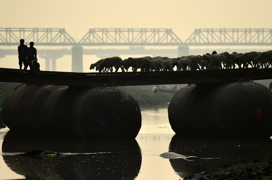 A herd of sheep crosses a large pontoon bridge.