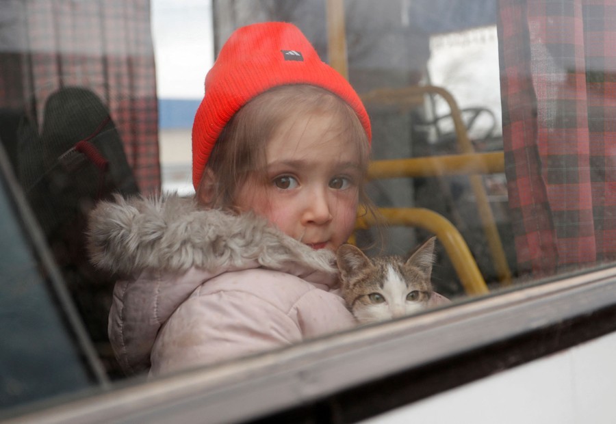 A young girl carries a cat while seated in a bus.
