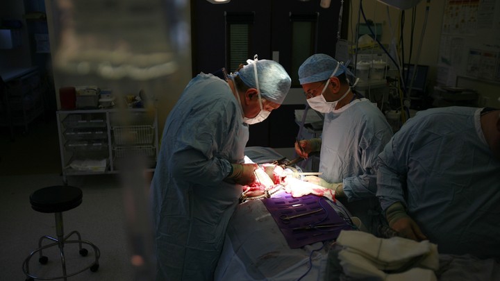 The Disputed Death of an 8YearOld Whose Organs Were