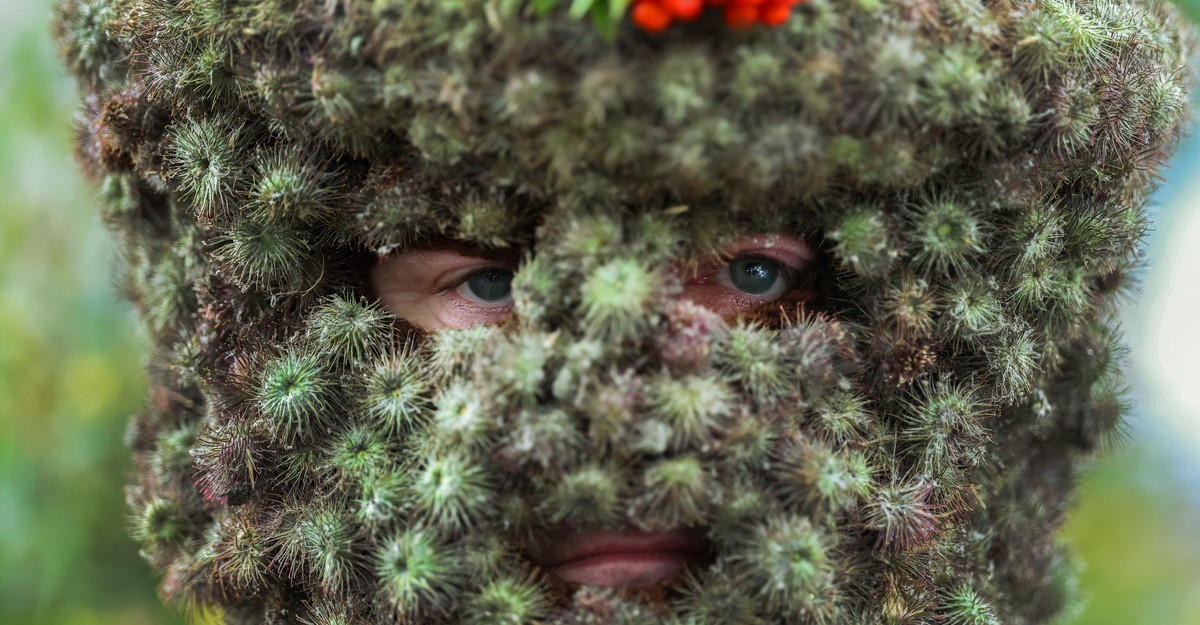 cdn.theatlantic.com image