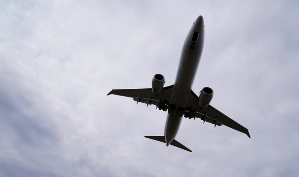 An American Airlines Boeing 737 MAX 8 flight