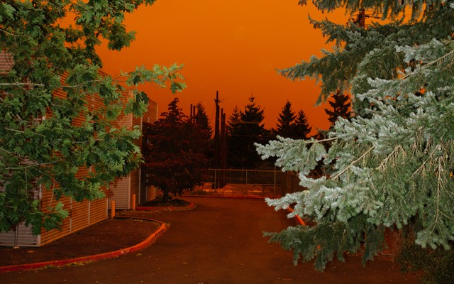 The Willamette Valley, in Oregon, with an orange sky