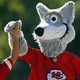 KC Wolf and a Kansas City Chiefs fan