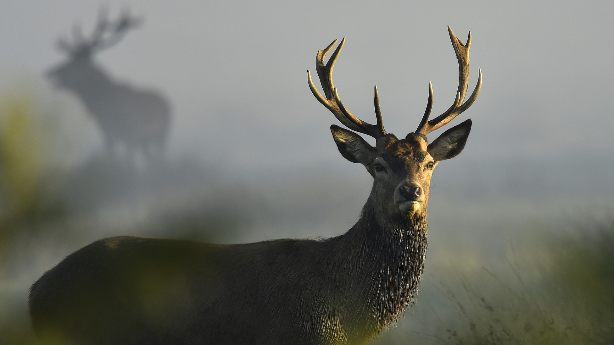 Is Climate Change a Prisoner's Dilemma or a Stag Hunt? - The Atlantic