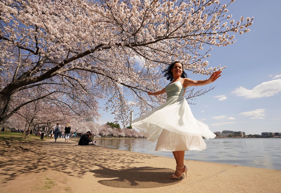 A woman's dress billows as she twirls beneath a blooming tree.