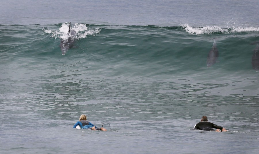 Photos of the Week: 6/6-6/12 - The Atlantic