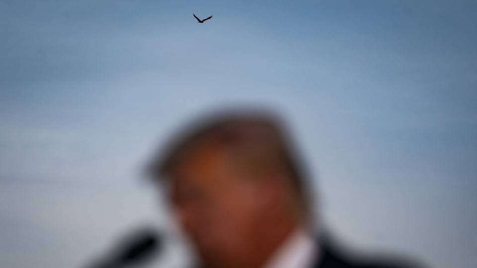 A blurred photograph of Trump speaking into a microphone in the foreground, with an eagle flying above him in the background.