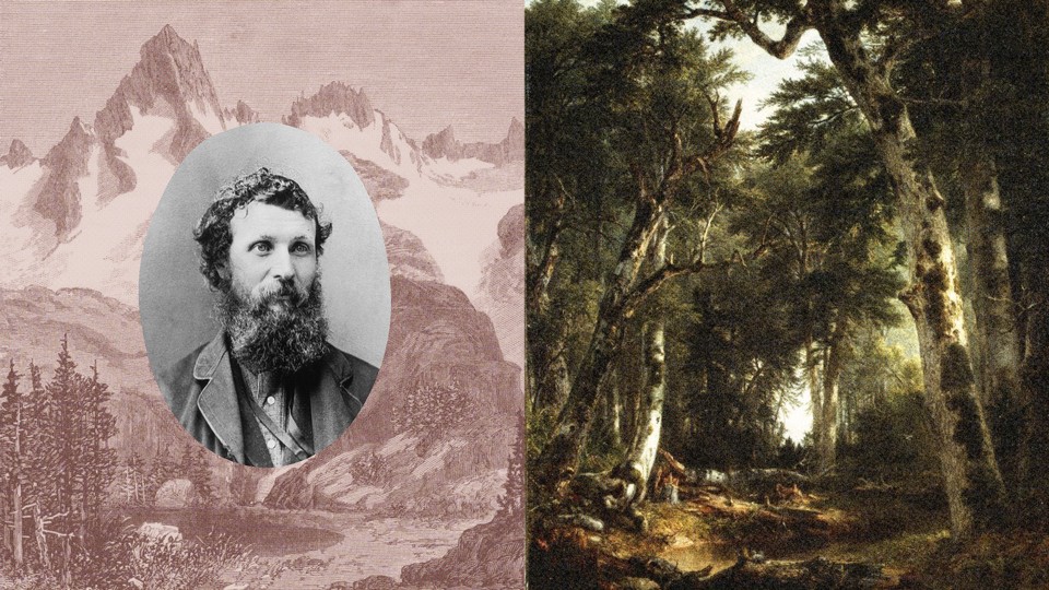 A photo illustration diptych of John Muir against a backdrop of mountains on the left side, and a painting of green, dense woods on the right side