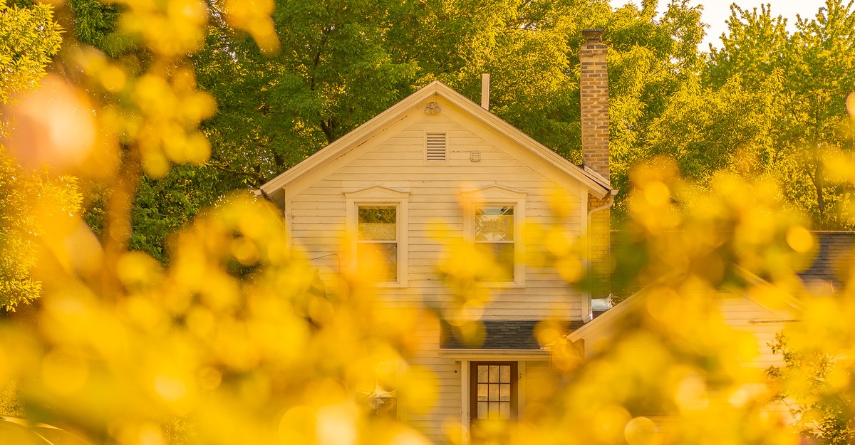 Many of us feel pulled toward the places where we grew up. But it can be weird when old and new selves collide, @fhill_official wrote in 2024: