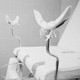 A black and white photograph of a patient examination room with stirrups and magnifying equipment