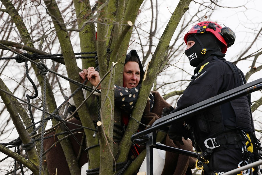 A police officer in a cherry picker speaks with an activist who sits in a tree among many ropes.
