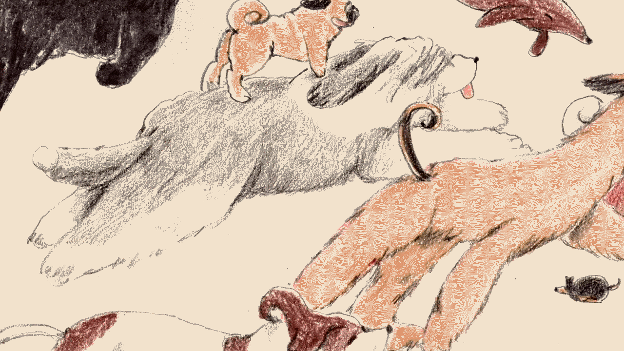 Your Next Dog May Live Longer