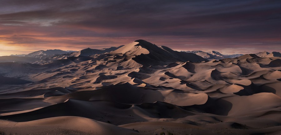A broad view of many sand dunes, large and small, stretching to the horizon.