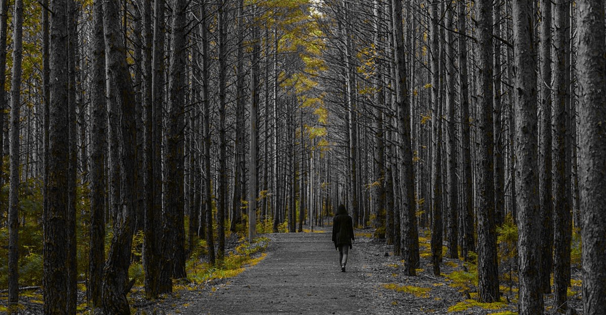 How to Find Focus When It's Most Elusive
