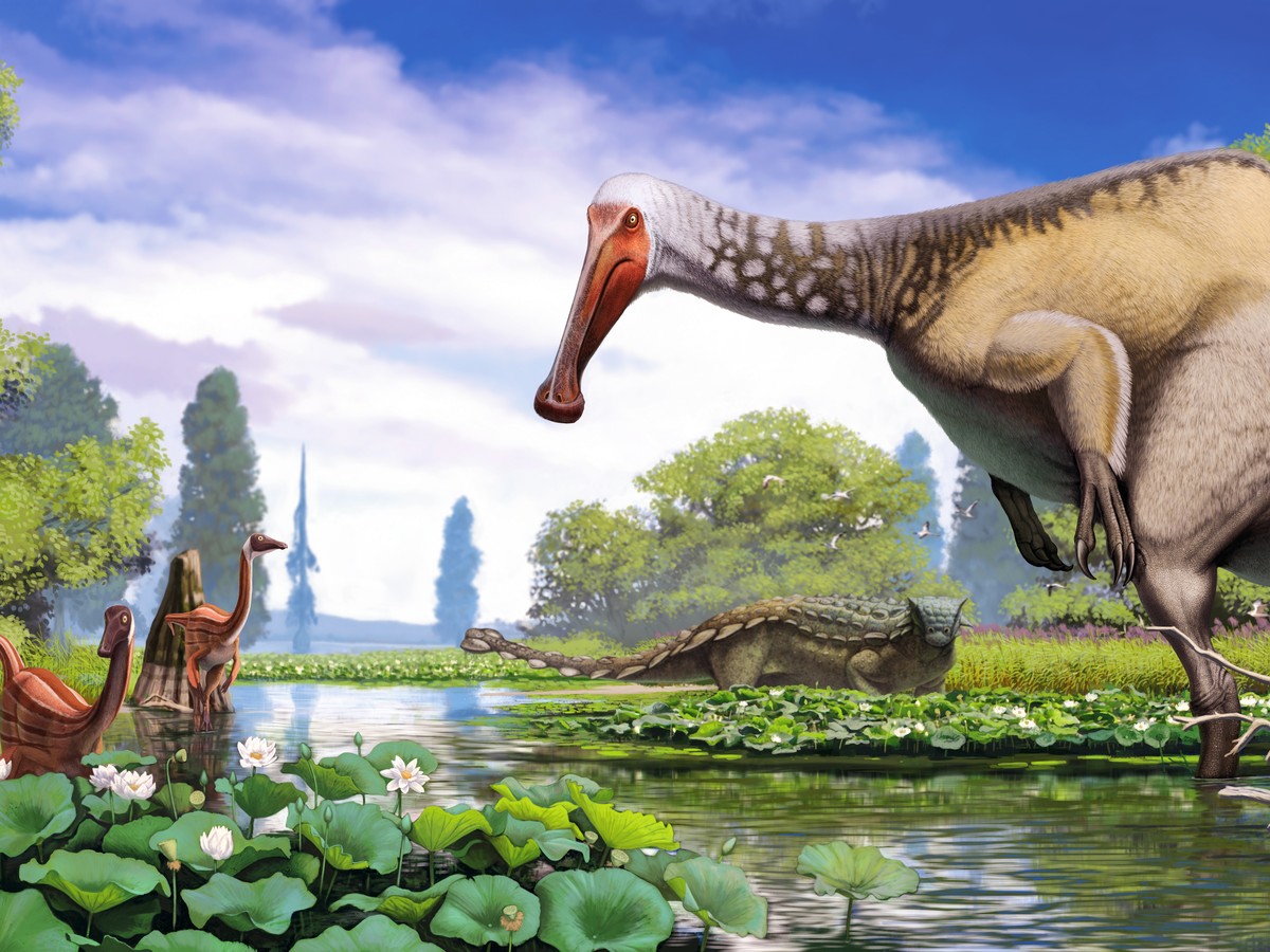 The Prehistoric Wonders of 'Paleoart' and 'Dinosaur Art II' - The ...