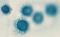 blue coronavirus particles scattered across an image, fading from left to right