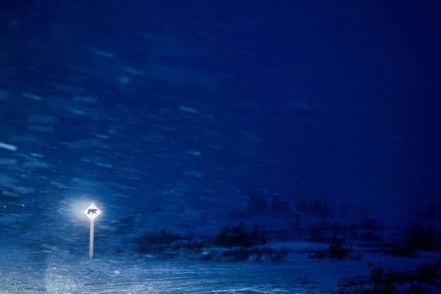 A polar-bear-crossing sign is illuminated by a vehicle during a blizzard.