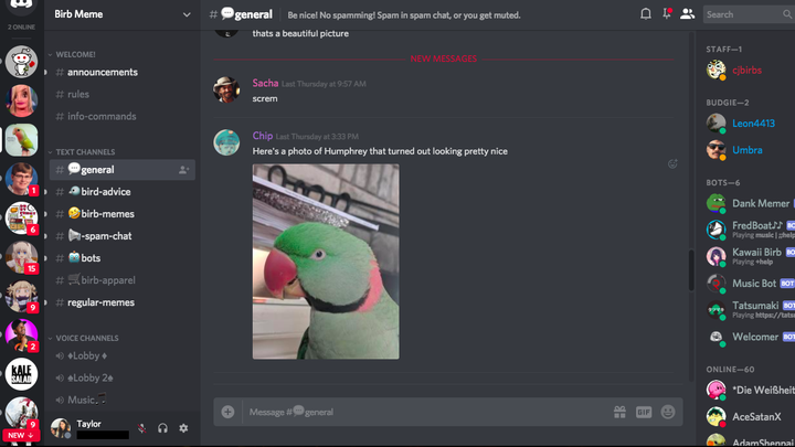 How to Organize Your Discord Server EASY! 