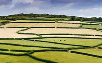 A patchwork of fields on Bodmin Moor in Cornwall