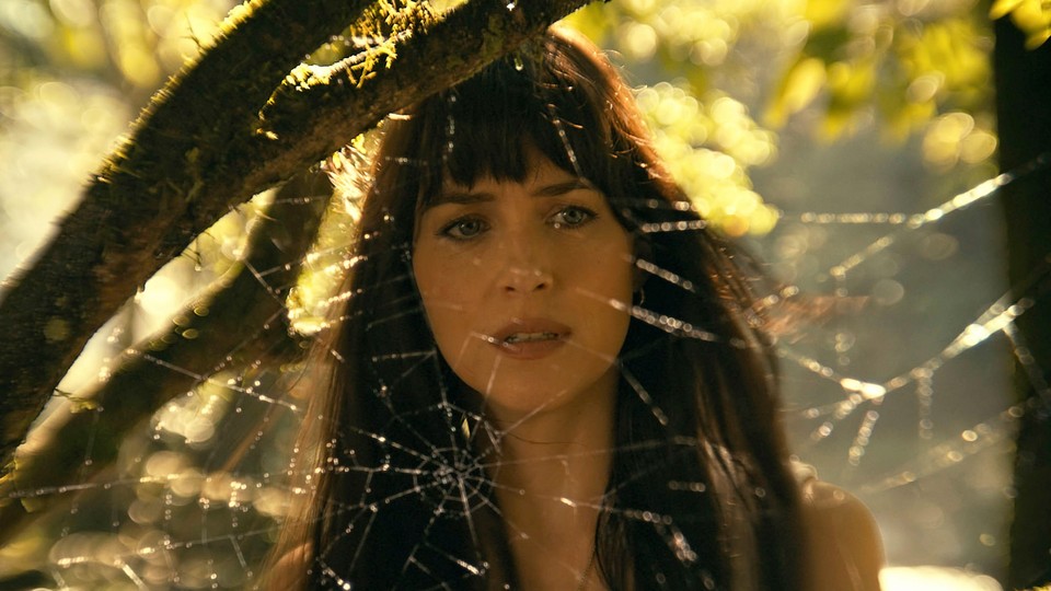 Dakota Johnson in “Madame Web,” standing in front of a spider web while backlit by the sun