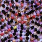 A view from above of dozens of people standing in concentric circles, pressed tightly together