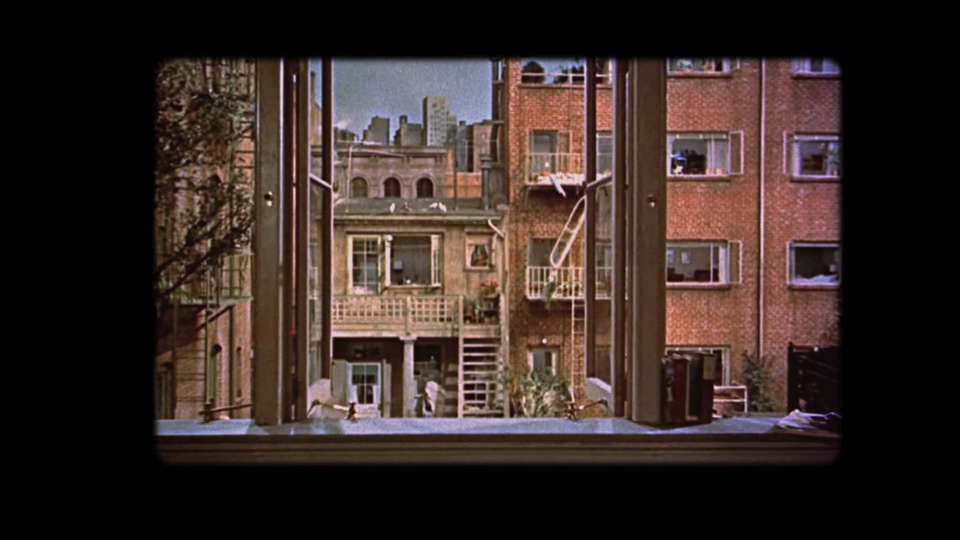 Rear Window Architecture