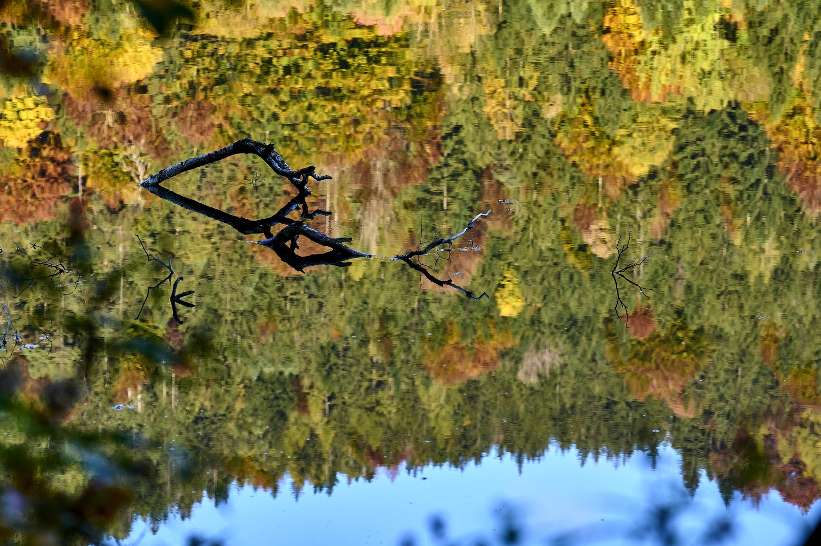 Autumn-colored trees are reflected on the calm water of a lake.