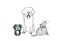 A cartoon illustration of three dogs—one shaggy, one drooling, and one with fleas.