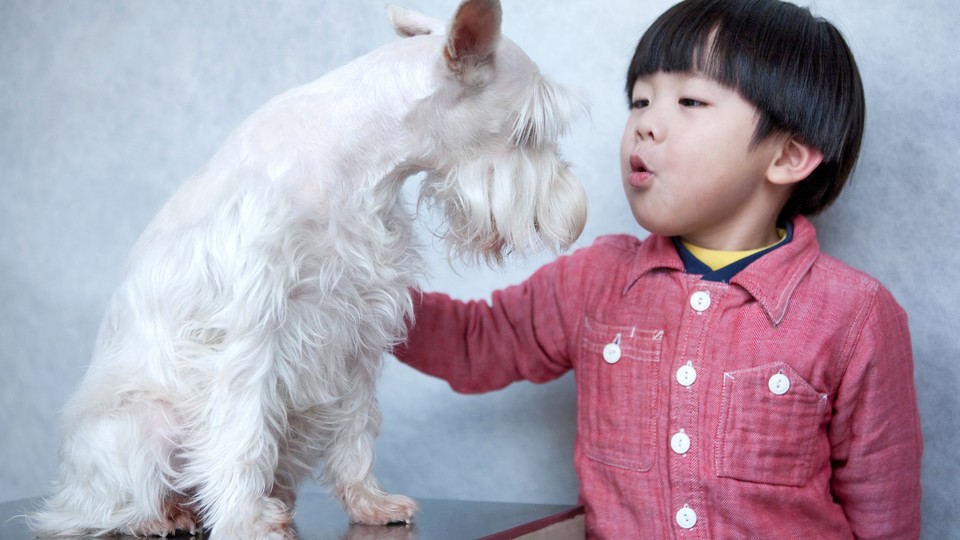 A woman talks to a dog.