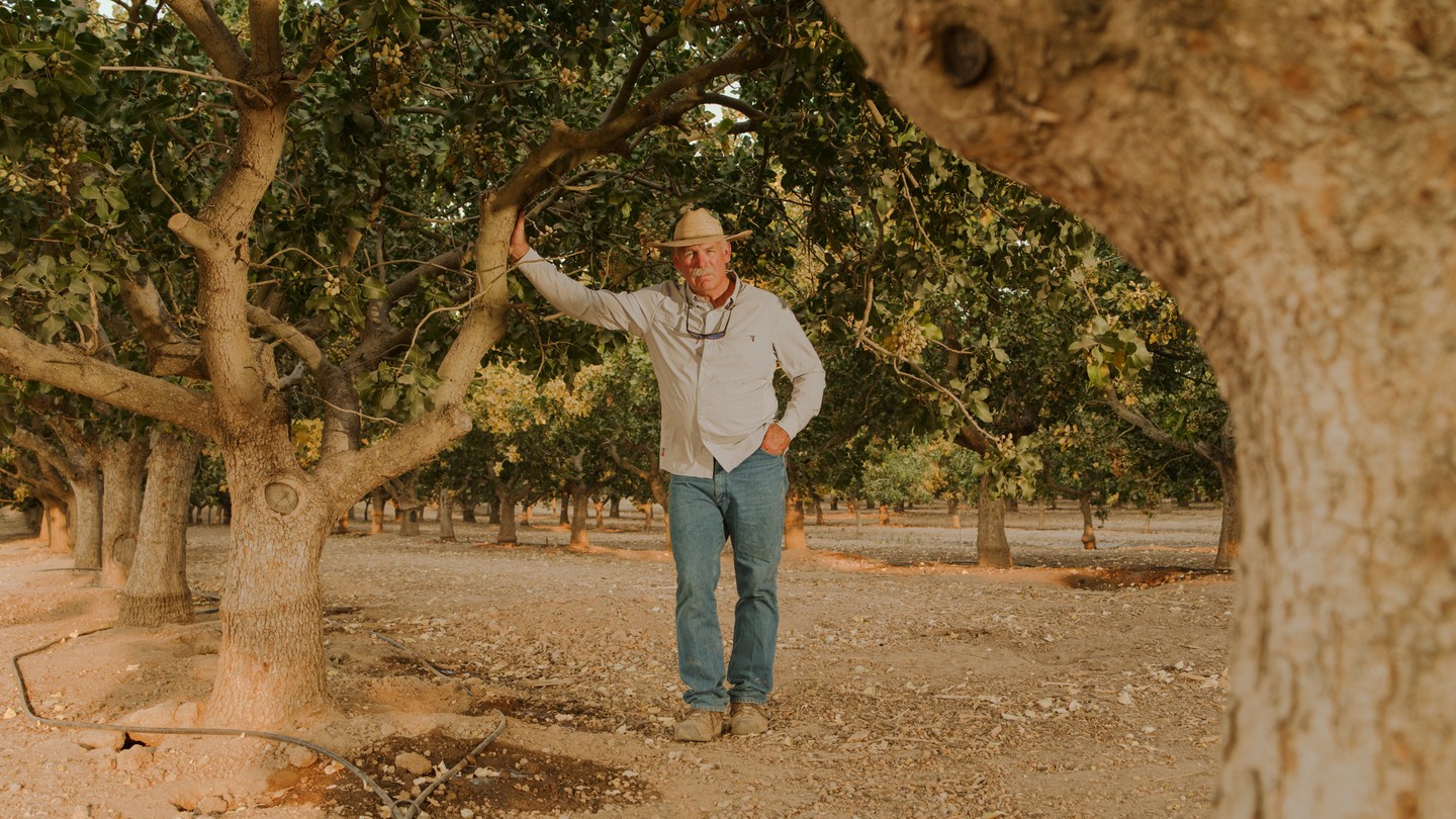 Matt Angell posing between almond tress on an orchard