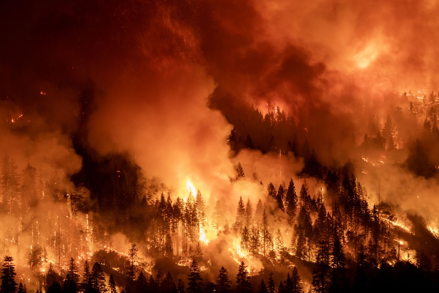 An elevated view of a forested hill on fire at night