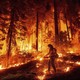 A firefighter drips flaming fuel on a forest floor, surrounded by burning trees and undergrowth.