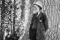 A black-and-white photo of John Muir wearing a suit and hat, standing by a large tree in a forest