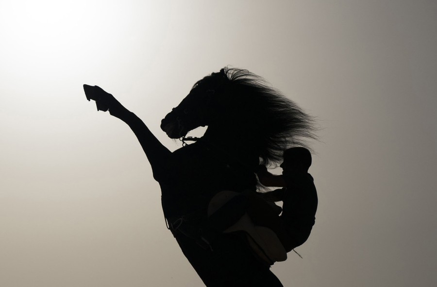 A silhouette of a man riding on a horse that is rearing up.