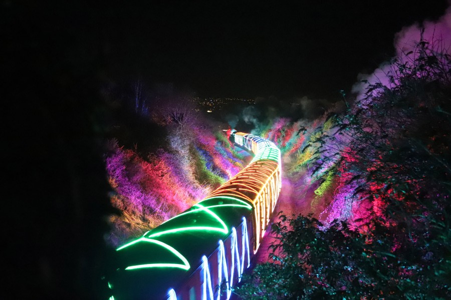 A train covered in colorful lights travels through trees at night.